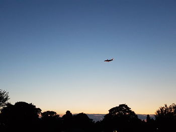 Low angle view of silhouette airplane against clear sky