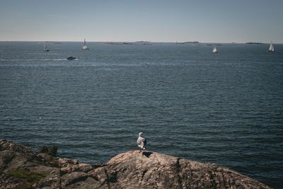 Bird on rock by sea