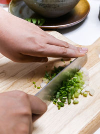 High angle view of man preparing food on cutting board