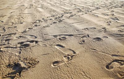 High angle view of footprints on sand at beach