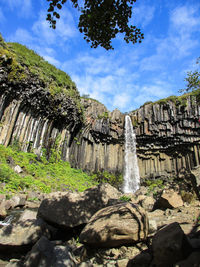 Plants growing on rock against sky
