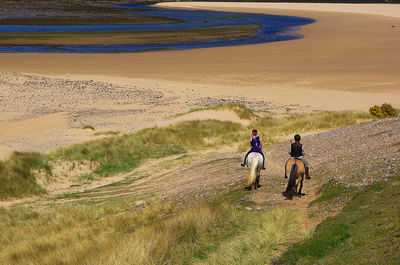 Rear view of people walking with dog on beach