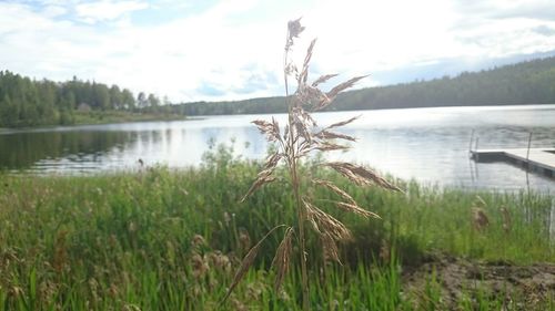 Scenic view of lake against sky