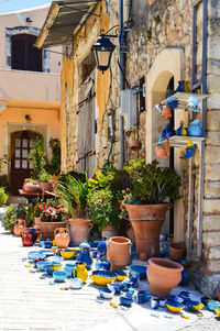 Potted plants on table by building in city