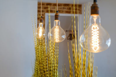 Low angle view of illuminated light bulbs hanging on glass