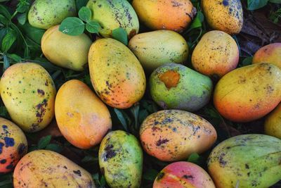 Full frame shot of fruits for sale at market stall