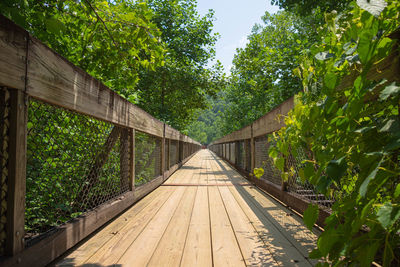 View of footbridge along trees