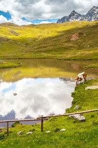 Scenic view of lake against sky