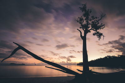 Scenic view of sea at sunset