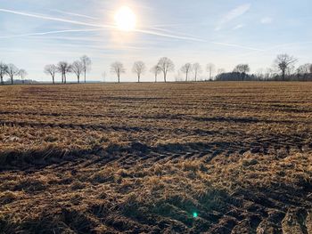 Scenic view of field against sky