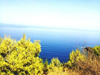 Scenic view of sea against clear sky