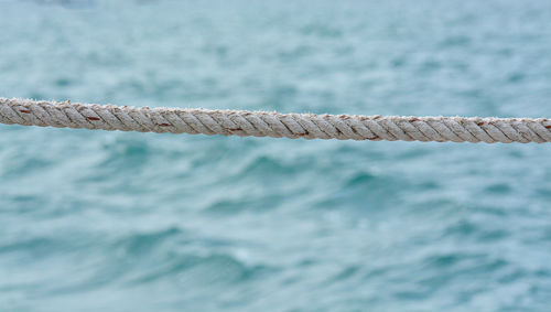 Close-up of rope tied to railing against sea