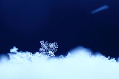 Close-up of snowflakes on blue sky