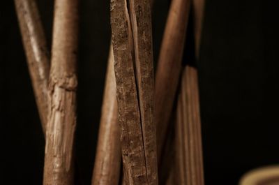 Close-up of wood