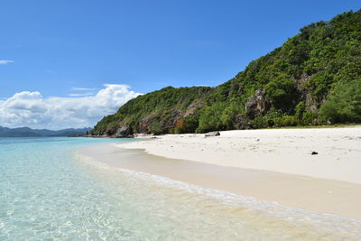 Scenic view of beach