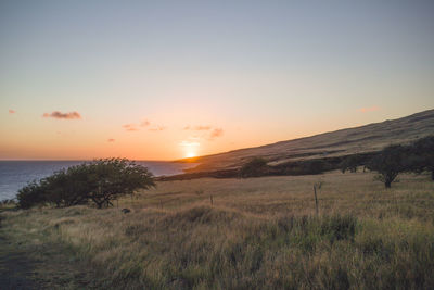 Scenic view of field against sky during sunset