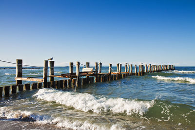 View of beach with seagulls on wooden posts against clear sky