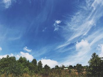 Low angle view of trees against sky