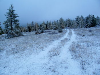 Snow covered field against sky