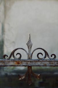 Close-up of rusty metal fence