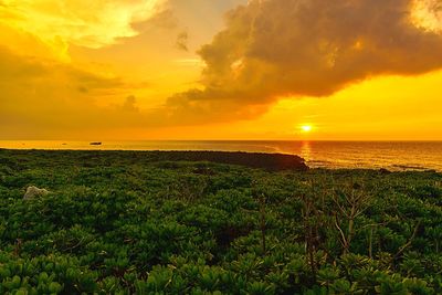 Scenic view of sea at sunset