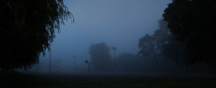 Silhouette trees on field against sky at night