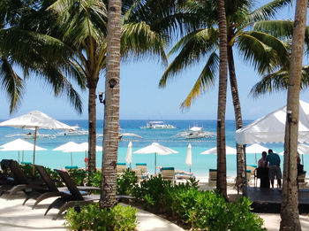 Rear view of people on palm trees at beach