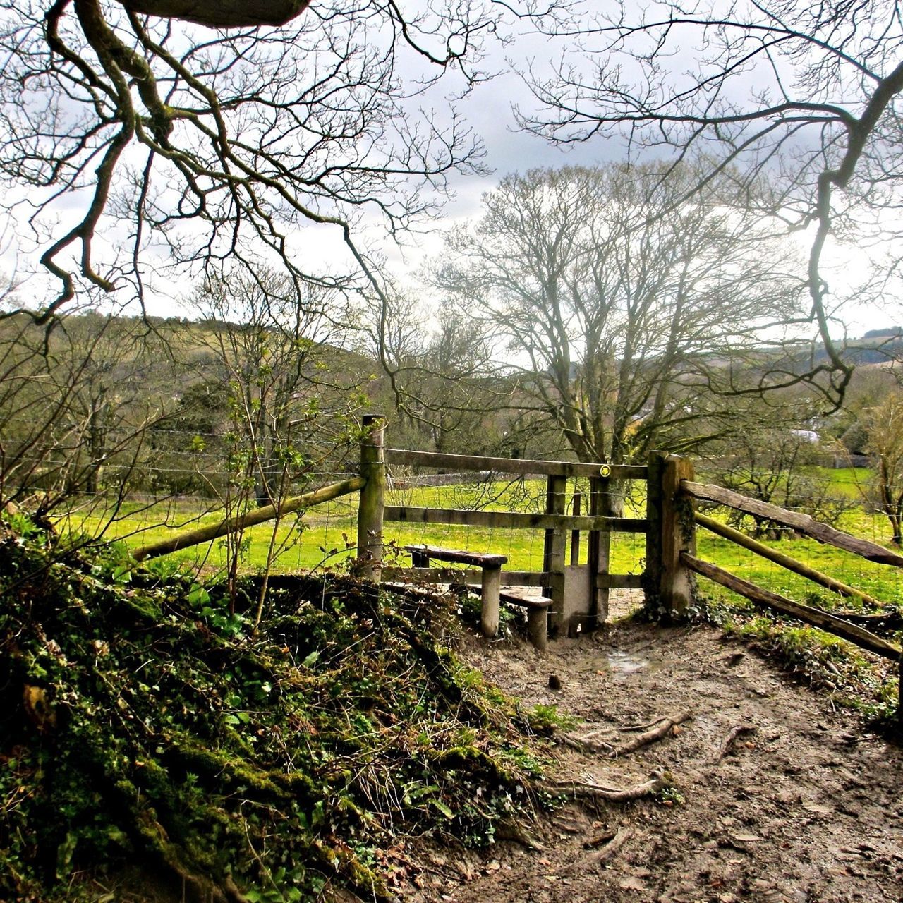 Cerne Abbas, Dorset