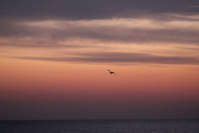 Scenic view of sea against orange sky