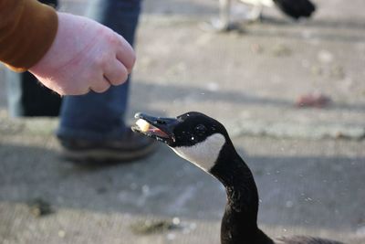 Close-up of object on wall