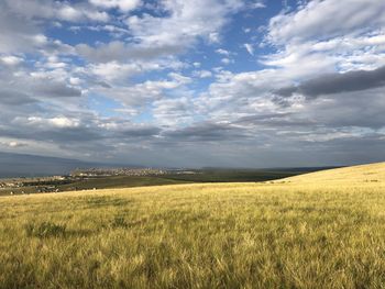 Scenic view of agricultural field against sky