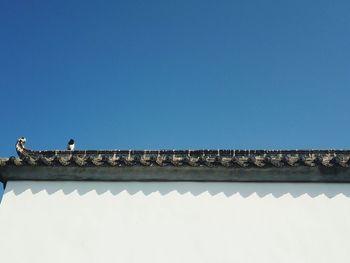 Low angle view of bird perching on roof against building