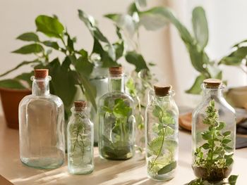 Close-up of bottles