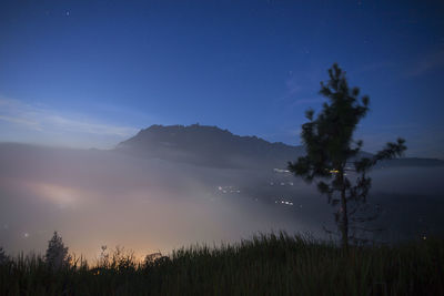 Trees on field against sky at night