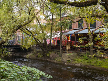 Bridge over river by trees and building