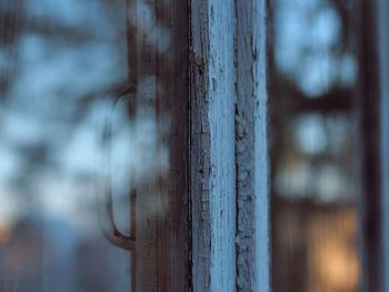 Close-up of wood