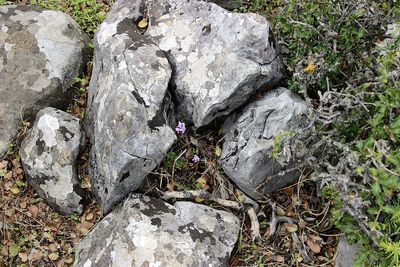 High angle view of rocks on field