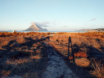 Scenic view of landscape against sky