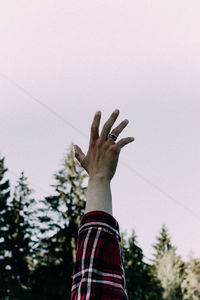 Low angle view of hands against tree against sky