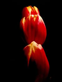 Close-up of red light over black background