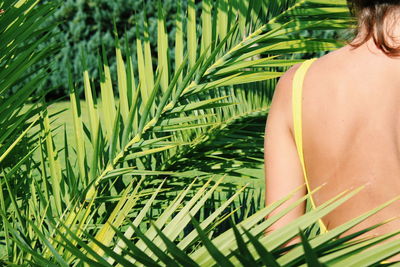 Rear view of woman on palm tree