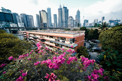 Flowering plants by buildings against sky in city