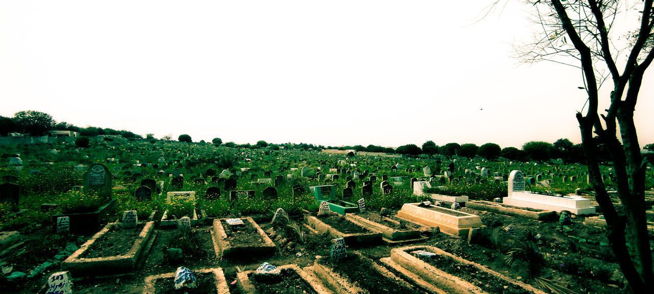 plant, sky, tree, nature, no people, landscape, architecture, agriculture, field, clear sky, growth, day, environment, rural scene, outdoors, land, green, rural area, residential area, built structure, scenics - nature, tranquility, building exterior, building, beauty in nature