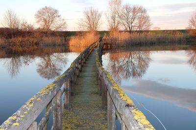 Reflection of trees in lake against sky