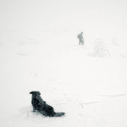 People on snow covered field