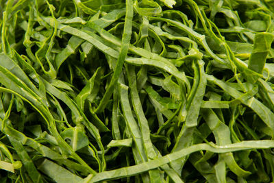 Raw cabbage leaf cut and ready to saute on closeup view