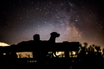 Silhouette men with dog sitting on bench against sky at night
