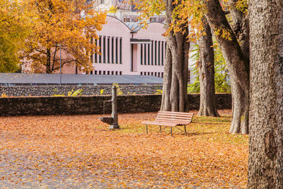 Empty bench in park during autumn