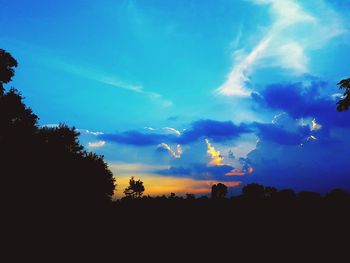 Low angle view of silhouette trees against sky