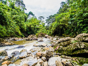 Stream flowing through rocks in forest against sky